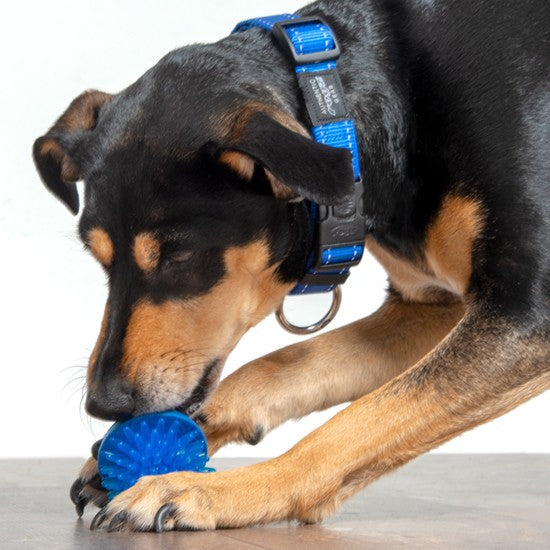 Rogz Dog Toy Fred Treat Ball Blue