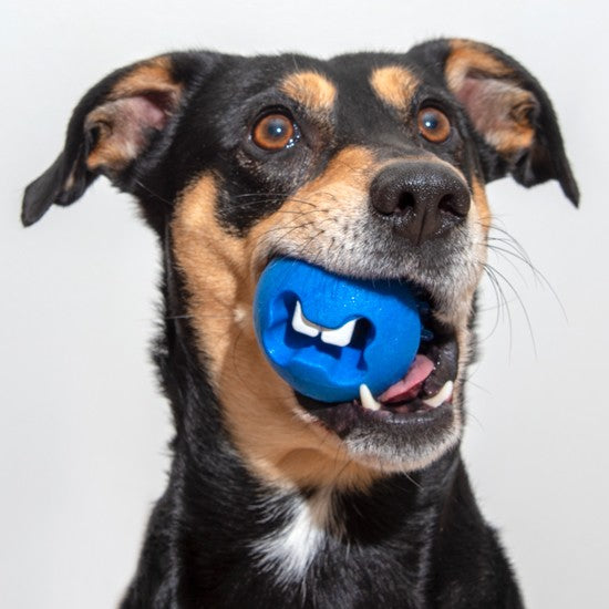 Rogz Dog Toy Fred Treat Ball Blue