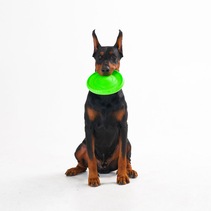 Sassbai Toy Flyber Flying Disk