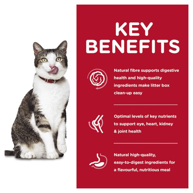 Hills Cat Adult Indoor 11+ 1.6kg