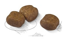 Royal Canin Dog Maxi Dental Care 9kg