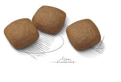 Royal Canin Dog Maxi Joint Care 10kg