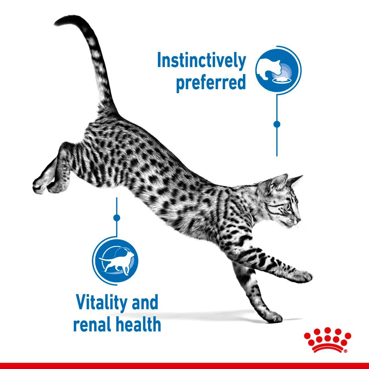 Royal Canin Cat Wet Indoor 7+ Gravy Box Of 12