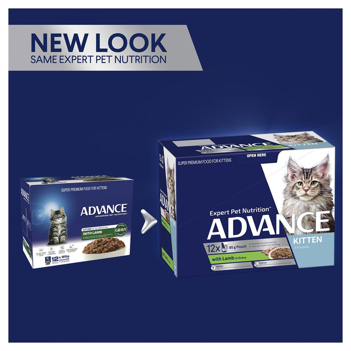 Advance Cat Wet Kitten Lamb Gravy Box Of 12
