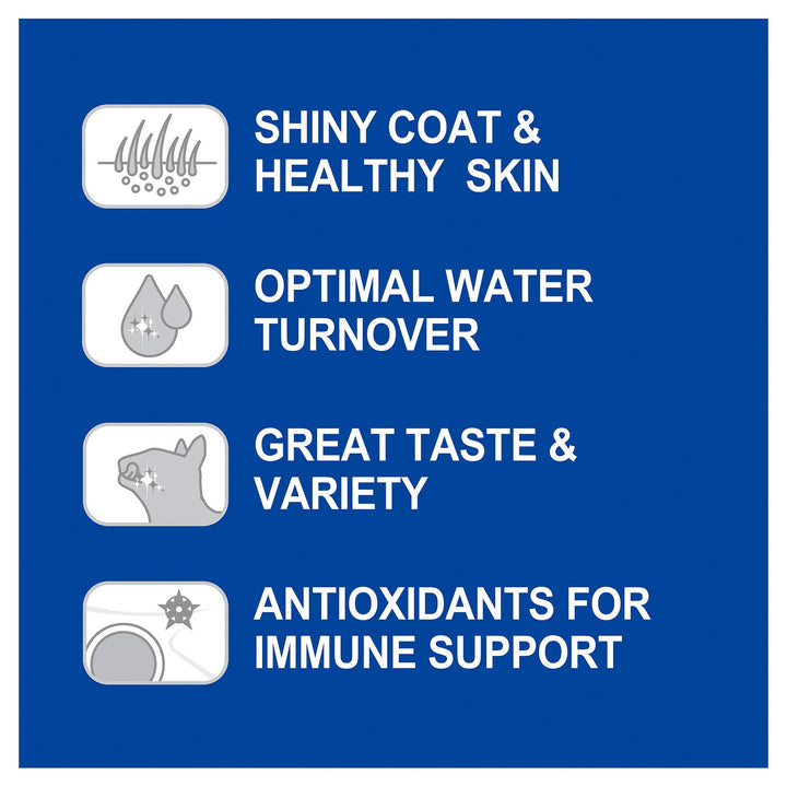 Advance Cat Wet Kitten Lamb Gravy Box Of 12