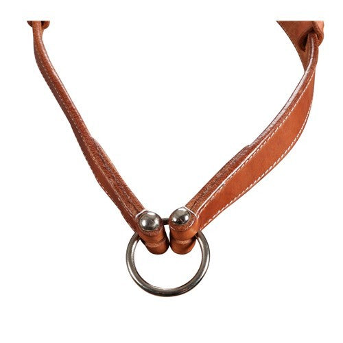 Western Rustic Beauty Noseband Fort Worth