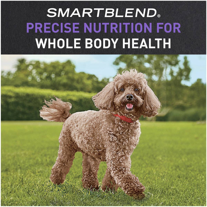 Supercoat Purina Dog Adult Small Chicken 2.8kg