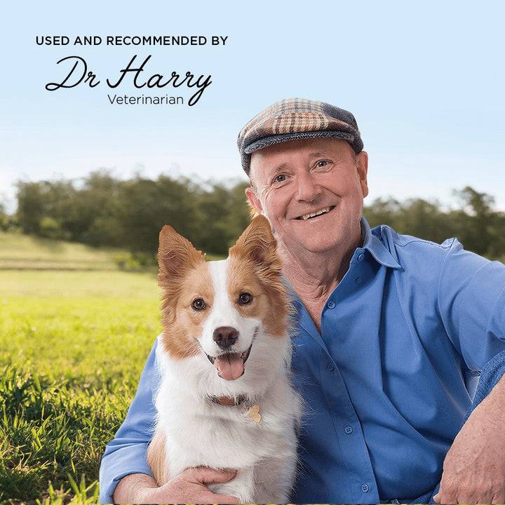 Supercoat Purina Dog Adult Chicken 2.8kg