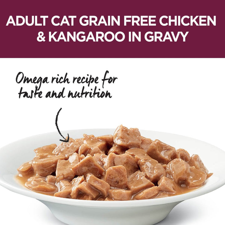 Ivory Coat Cat Wet Grainfree Adult Chicken & Kangaroo In Gravy Box Of 12