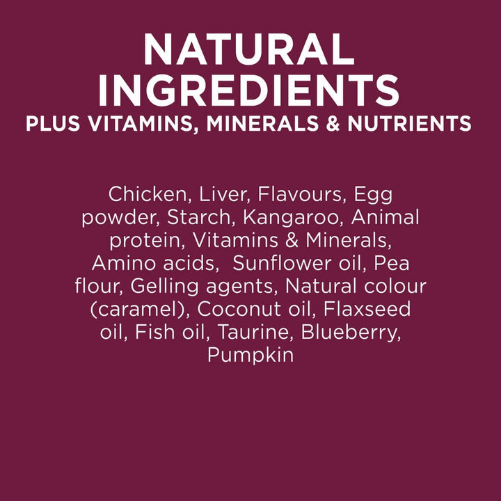 Ivory Coat Cat Wet Grainfree Adult Chicken & Kangaroo In Gravy Box Of 12