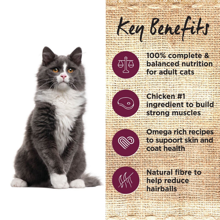 Ivory Coat Cat Wet Grainfree Adult Chicken & Kangaroo In Gravy Box Of 12