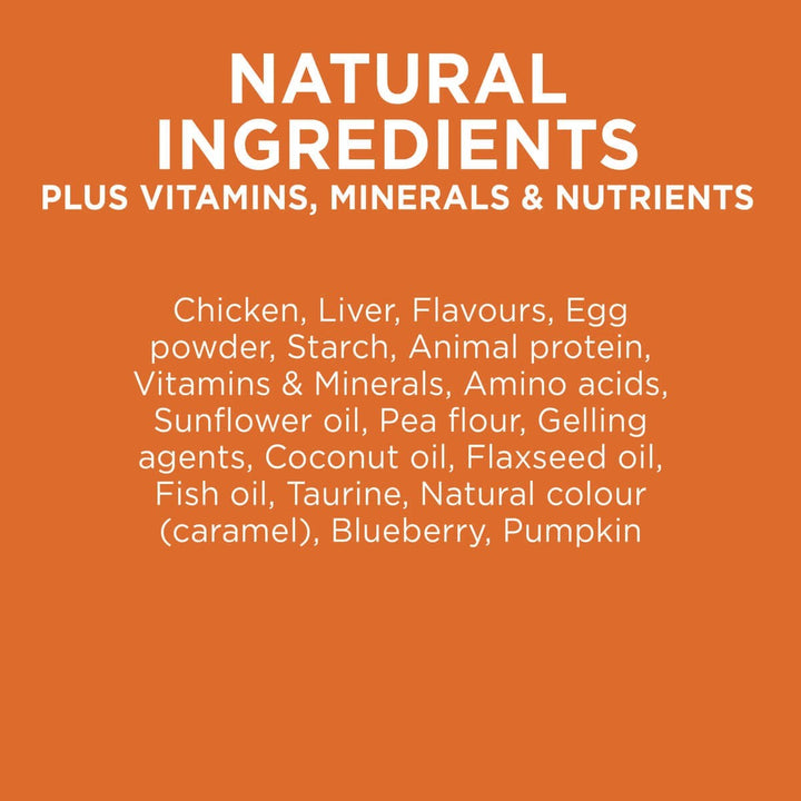 Ivory Coat Cat Wet Grainfree Adult Chicken In Gravy Box Of 12