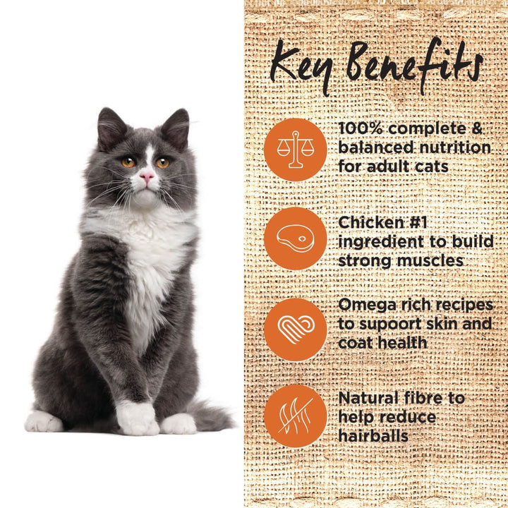 Ivory Coat Cat Wet Grainfree Adult Chicken In Gravy Box Of 12