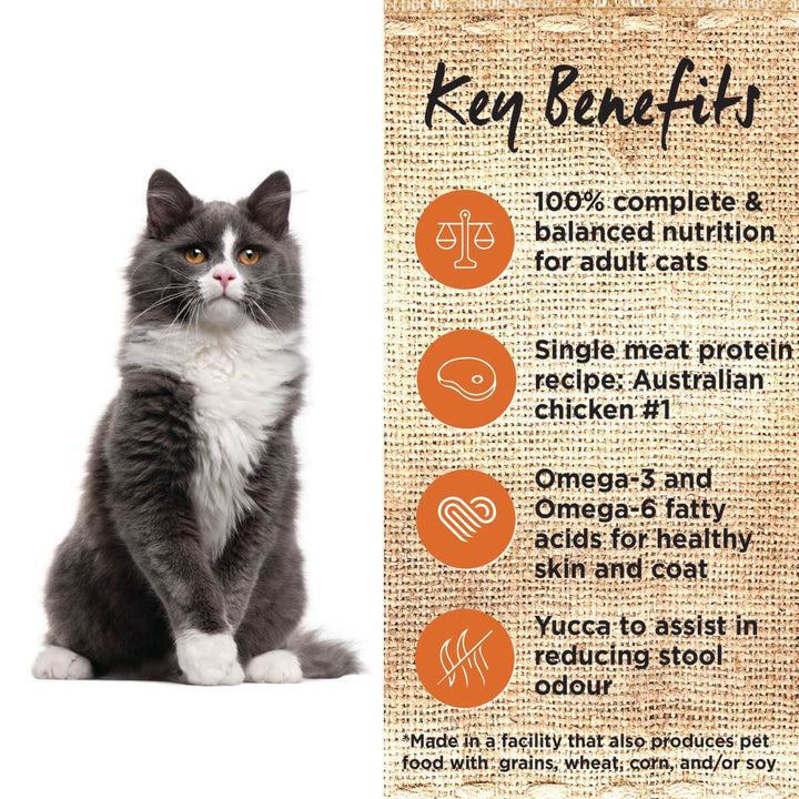 Ivory Coat Cat Grainfree Chicken & Coconut Oil 4kg