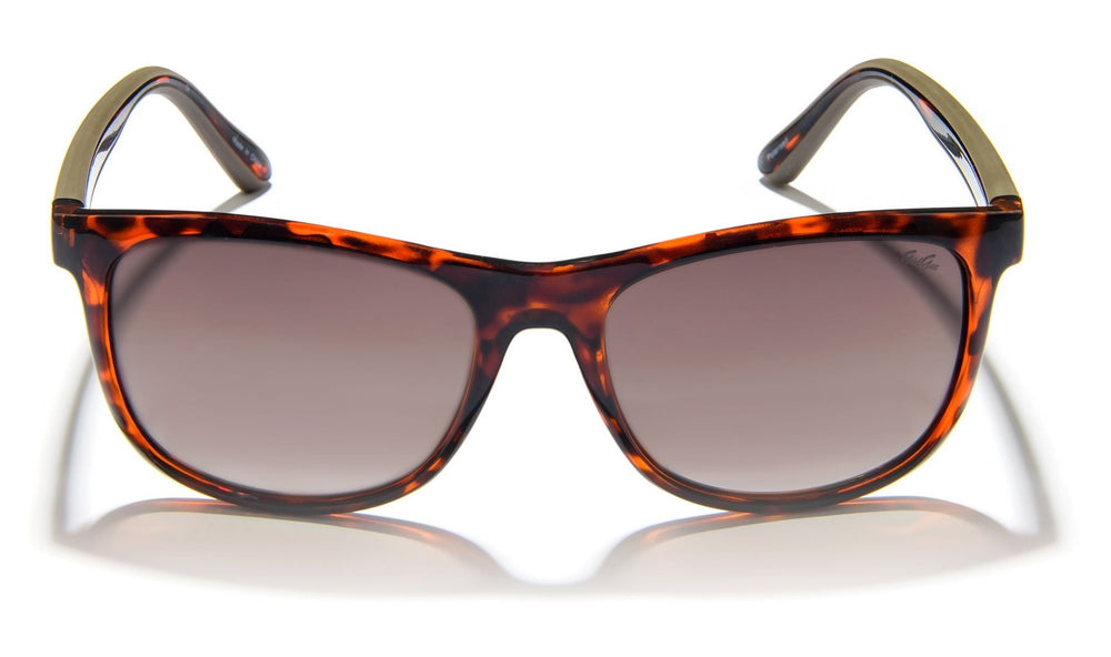 Sunglasses Gidgee Fender Amber Tortoise Frame & Brown Polar Gradient Lens