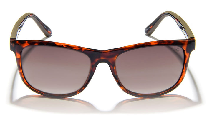Sunglasses Gidgee Fender Amber Tortoise Frame & Brown Polar Gradient Lens