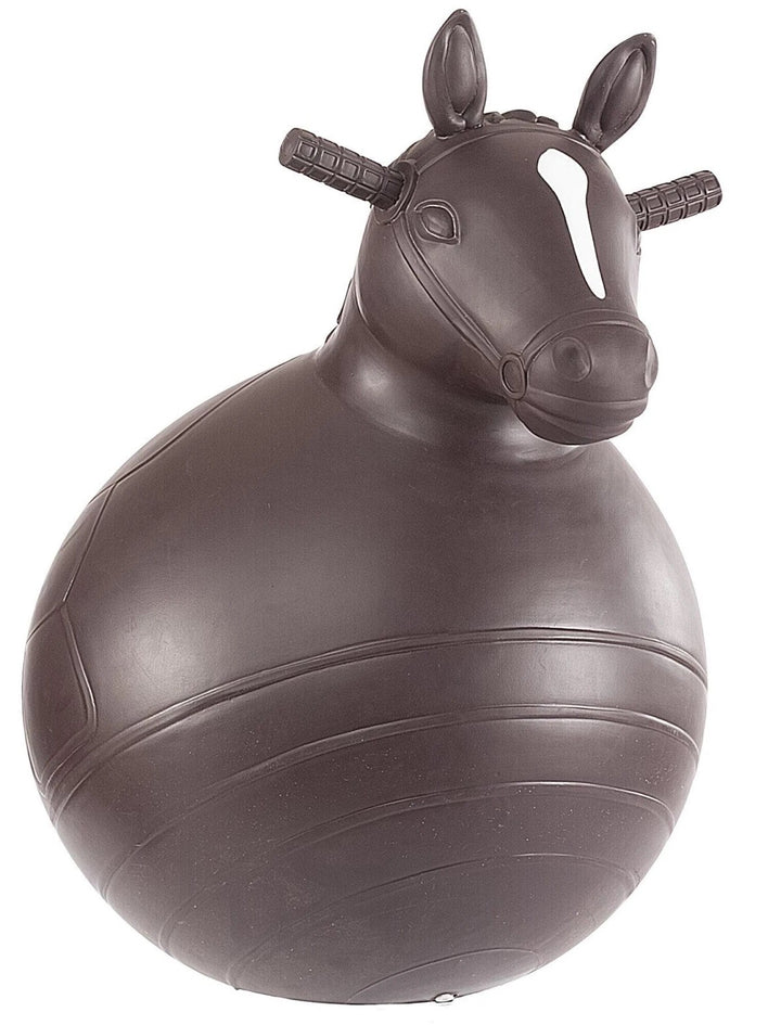 Gift Big Country Bouncy Horse Age 4-9 Years