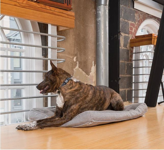 Bark Collar Static Rechargeable Petsafe