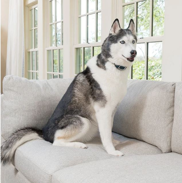 Bark Collar Static Rechargeable Petsafe