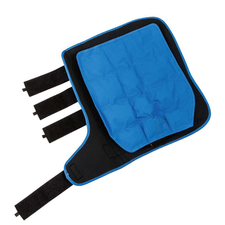 Ice Boots Lami Cell Pro Pair Black