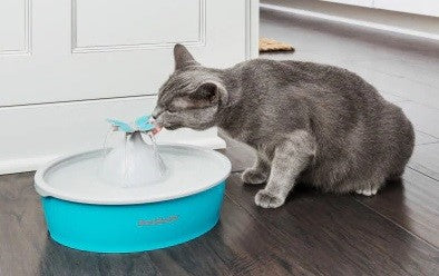 Drinkwell Pet Fountain Butterfly