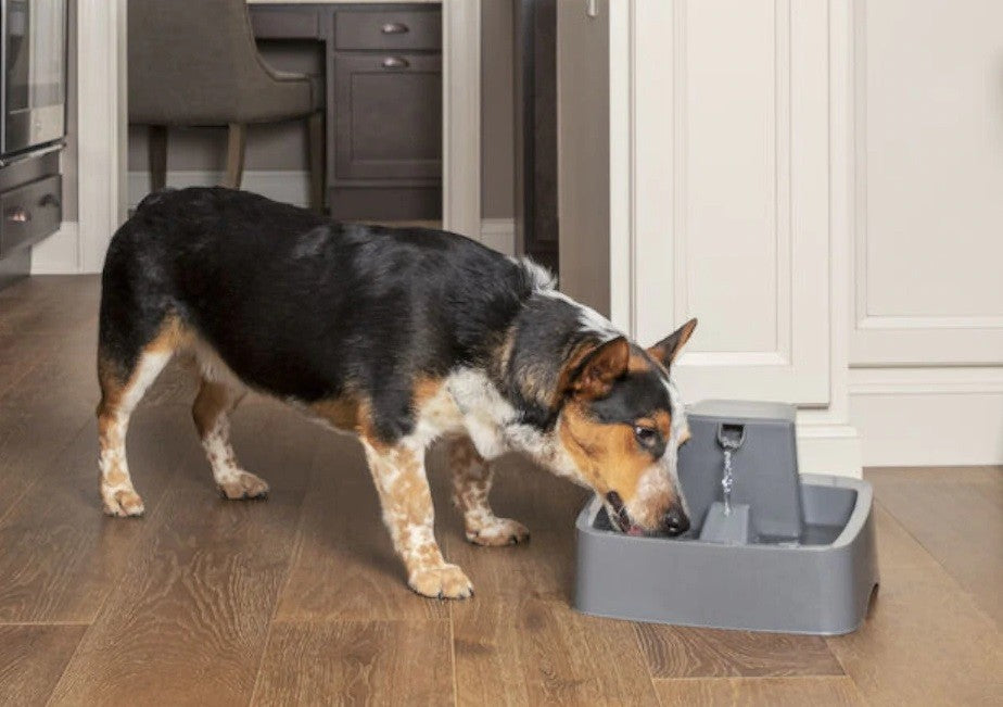 Drinkwell Pet Fountain 3.7litre