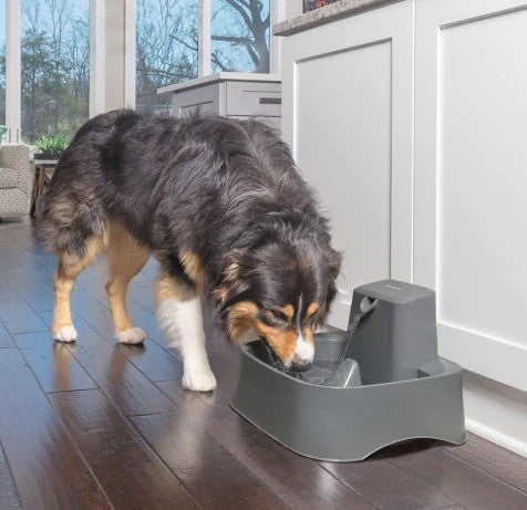 Drinkwell Pet Fountain 7.5litre