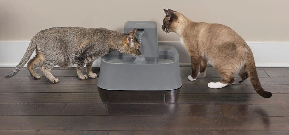 Drinkwell Pet Fountain 7.5litre