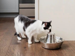 Drinkwell Pet Fountain Seaside Stainless Steel