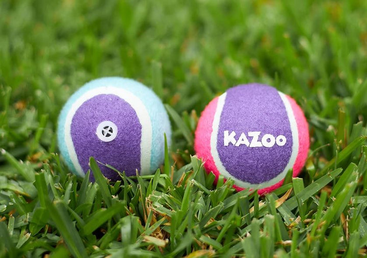 Kazoo Dog Toy Tennis Ball Squeaky Medium