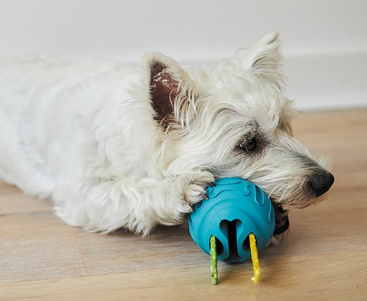 Kazoo Dog Toy Chew & Treat Enrichment Ball Medium