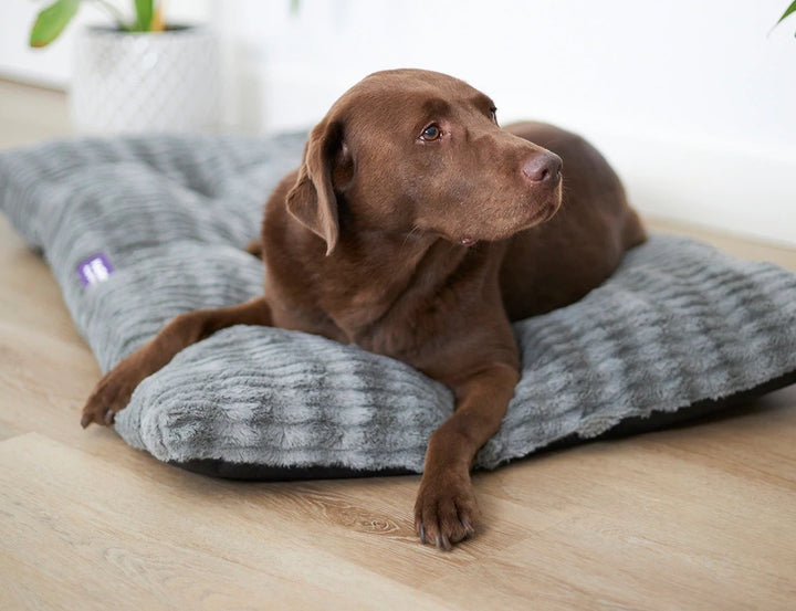 Bed Dog Kazoo Cloud Cushion Cool Grey Medium
