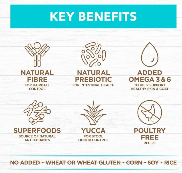 Ivory Coat Cat Grainfree Kitten Oceanfish 2kg