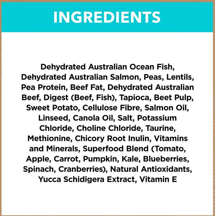 Ivory Coat Cat Grainfree Kitten Oceanfish 2kg