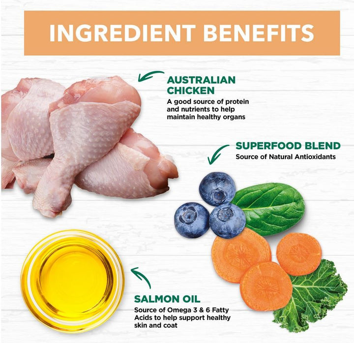 Ivory Coat Cat Grainfree Kitten Chicken 2kg