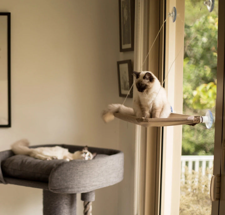Cat Lookout Window Bed Deluxe
