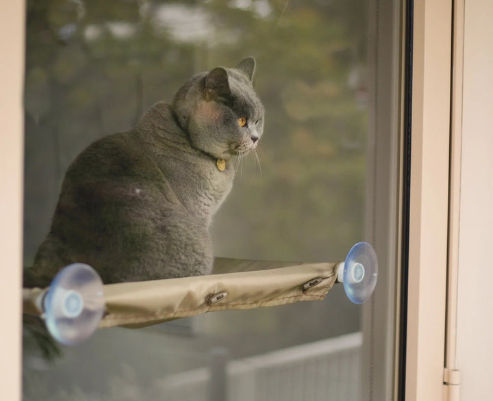 Cat Lookout Window Bed Deluxe