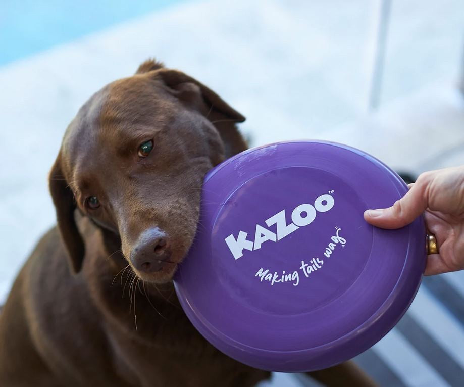 Kazoo Dog Toy Frisbee