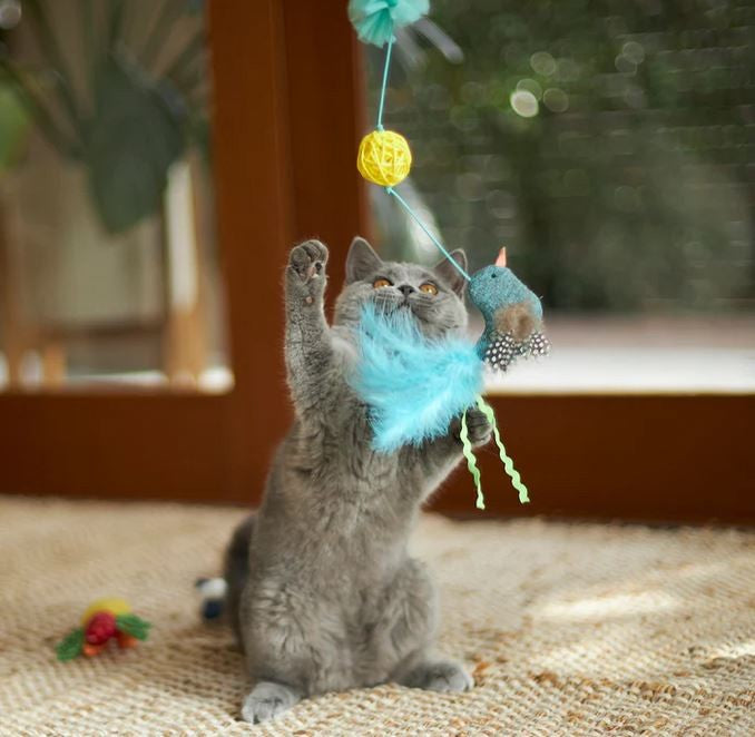 Cat Toy Kazoo Bluebird Wand