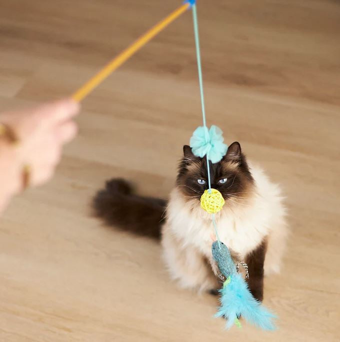 Cat Toy Kazoo Bluebird Wand