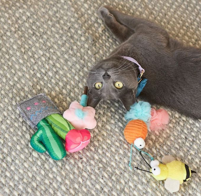 Cat Toy Kazoo Garden Treats