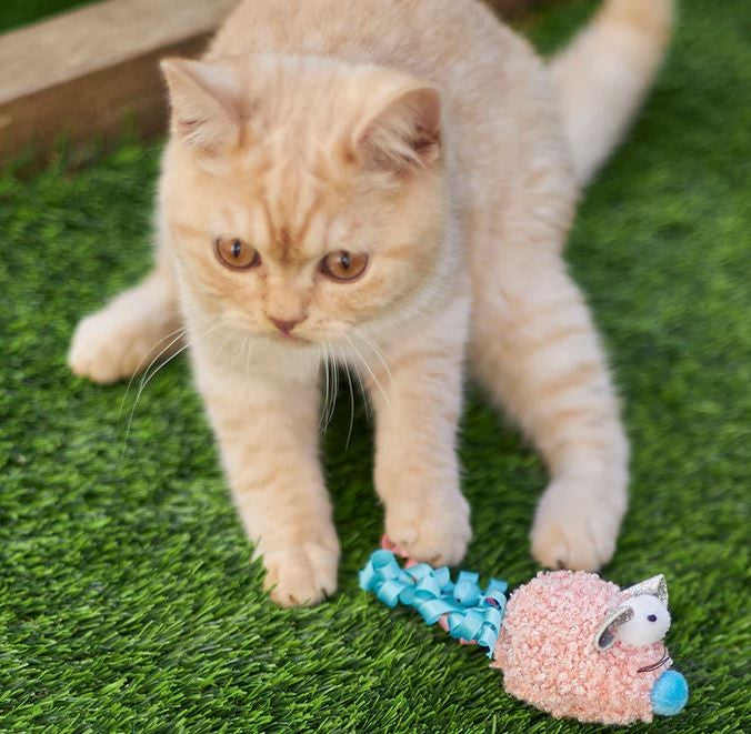 Cat Toy Kazoo Pinky Mouse