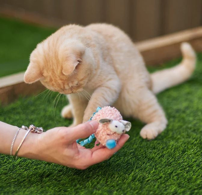 Cat Toy Kazoo Pinky Mouse