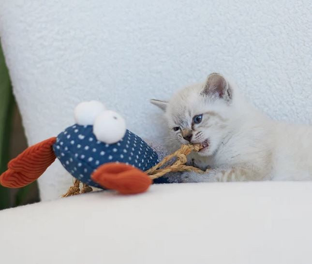 Cat Toy Kazoo Snappy Lobster