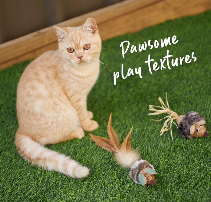 Cat Toy Kazoo Scruffy Mouse