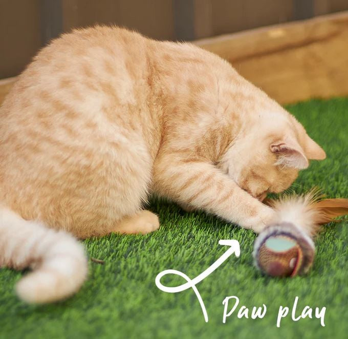 Cat Toy Kazoo Scruffy Mouse