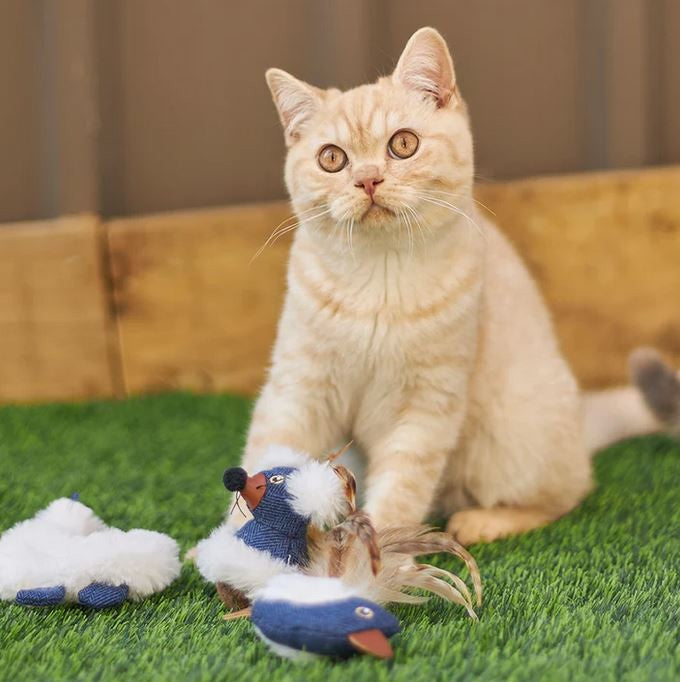 Cat Toy Kazoo Wobble Mouse