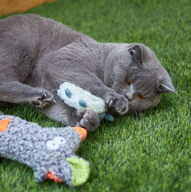 Cat Toy Kazoo Squinty Sheep