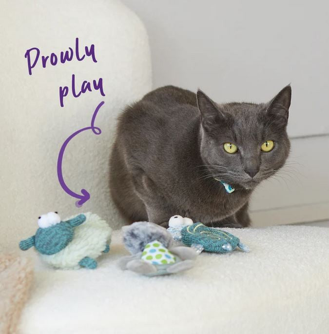 Cat Toy Kazoo Topsy Turtle