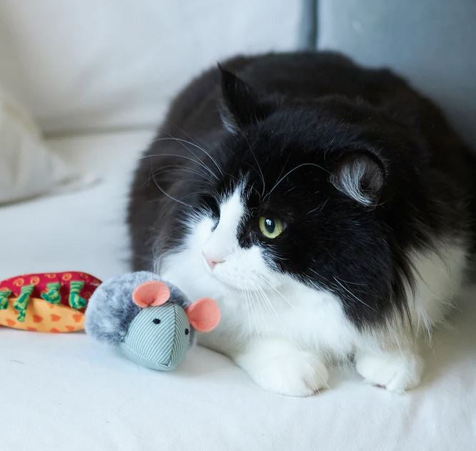 Cat Toy Kazoo Noisy Mouse